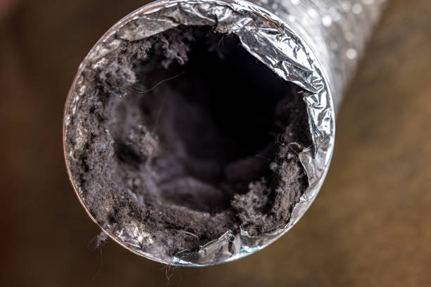 Best Residential Air Duct Cleaning  in Sun City Center, FL